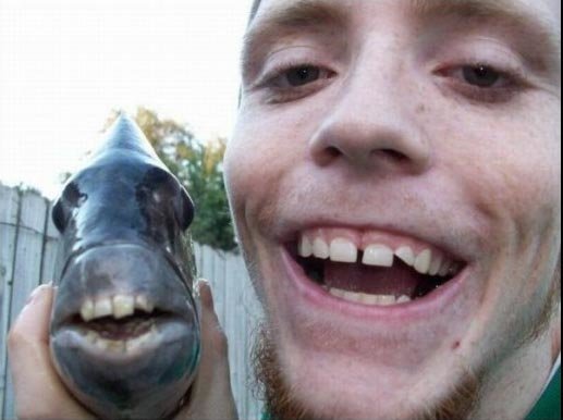 Fish-Teeth_27f2e666ae0c16667d245a81efed83c6930692de.jpg