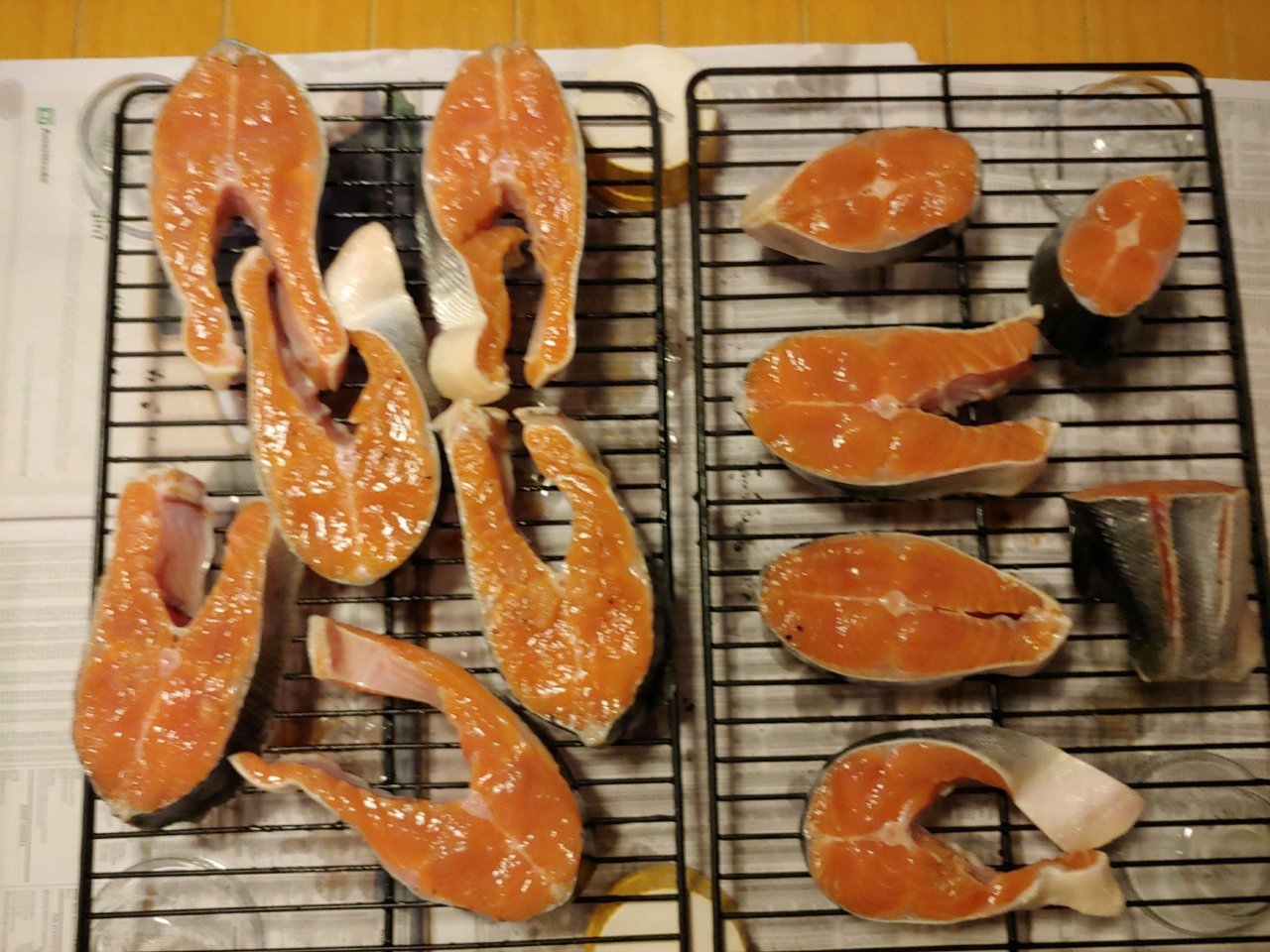 fish1.jpg
