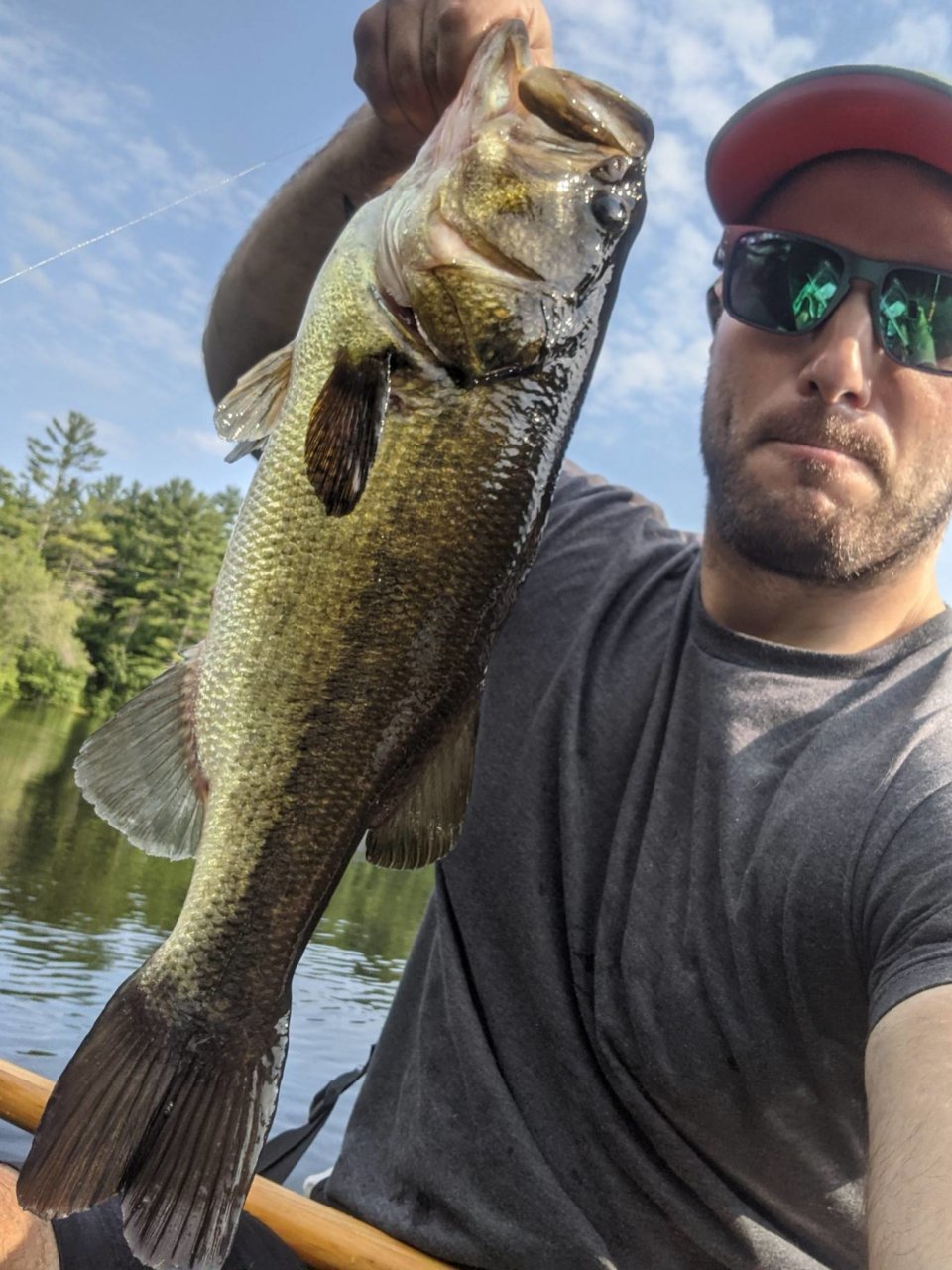 Fish1.jpg
