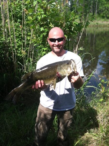 fish2.jpg