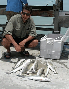 fish2_fb79e67b43f0dd54014ce3b8e3074aa2c89f7ddc.gif