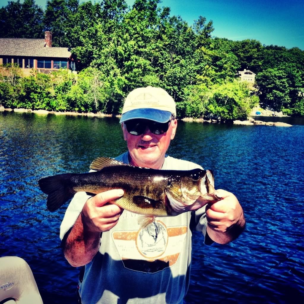 fish_b4a106846c736509d66c34a1476faf8d100178b8.jpg