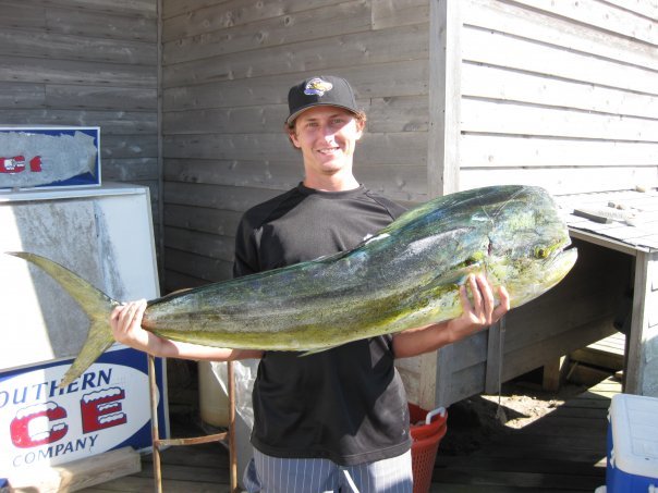 fish_zps6351bb9b_58acecef6b3443a5d5ec505e7ffce1632dba858d.jpg
