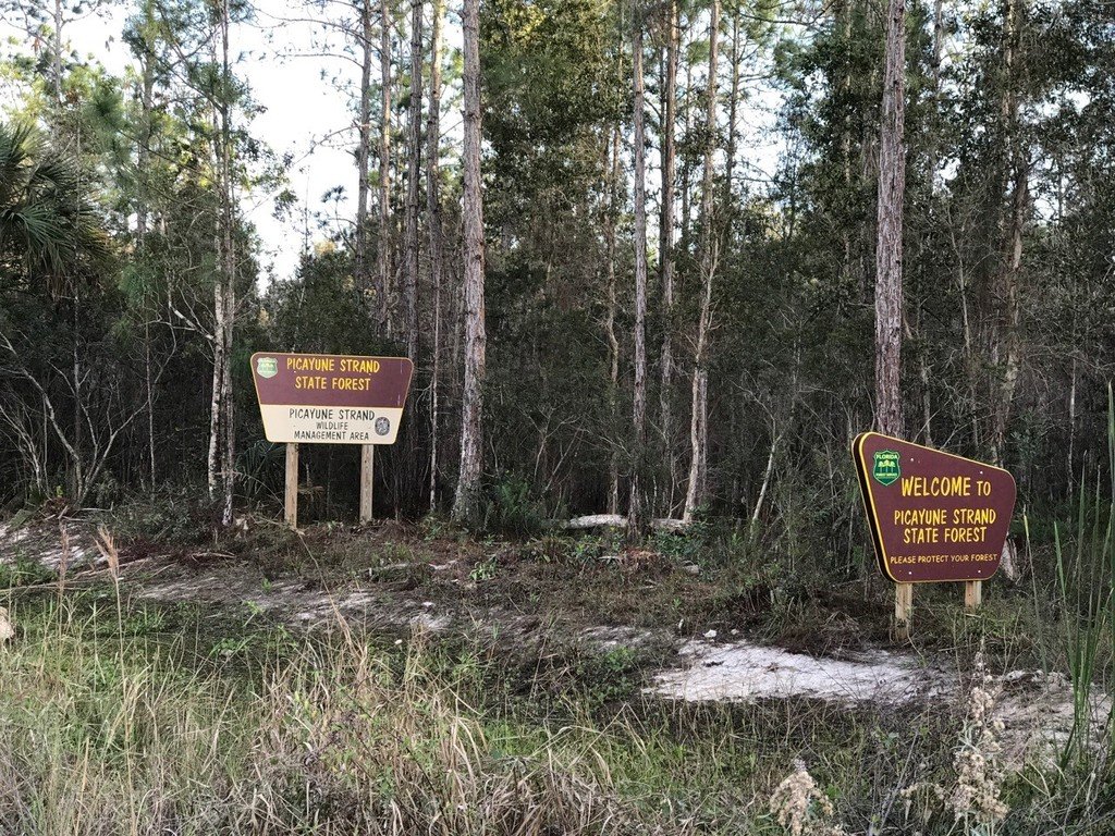 Fisheating%20Creek%2012_ce043c85611d2fbc5db149f5d64166a2a70fd78a.jpg