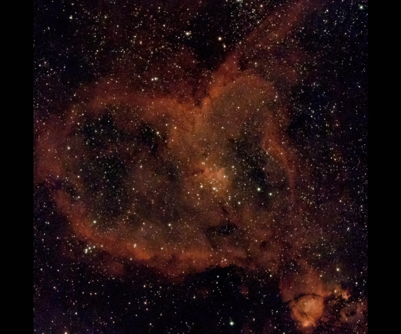 Fishhead and heart nebulae-DeNoiseAI.jpg