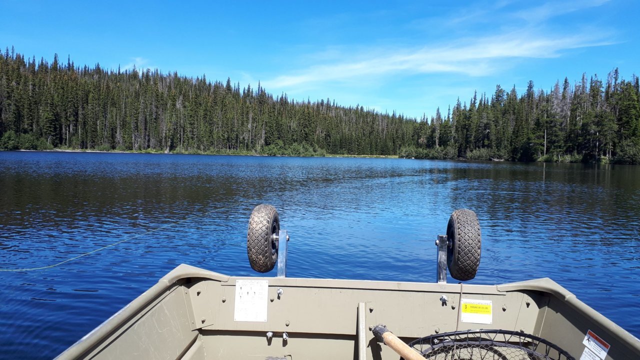 fishing.jpg