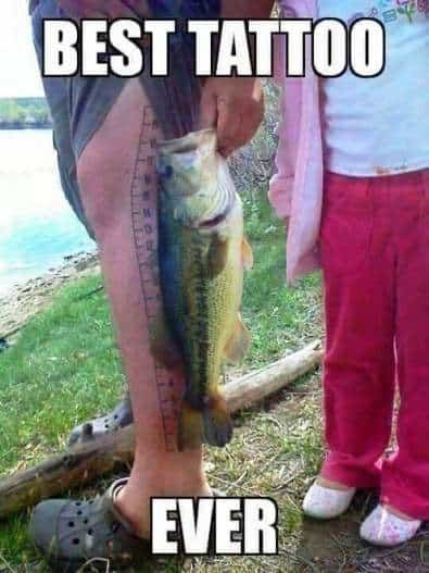 fishing-meme-3.jpg