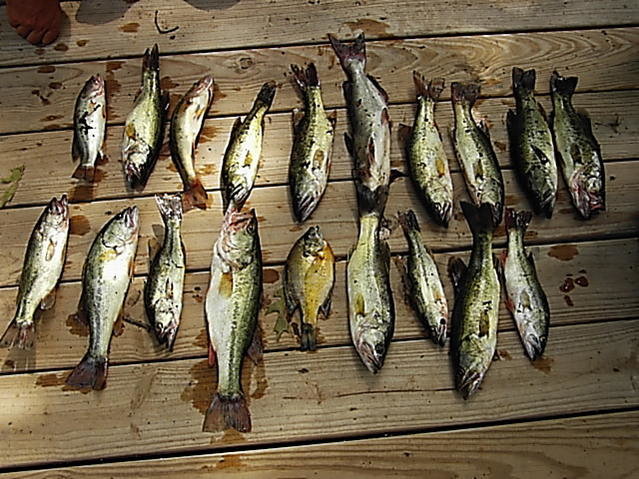 fishing pics.jpg