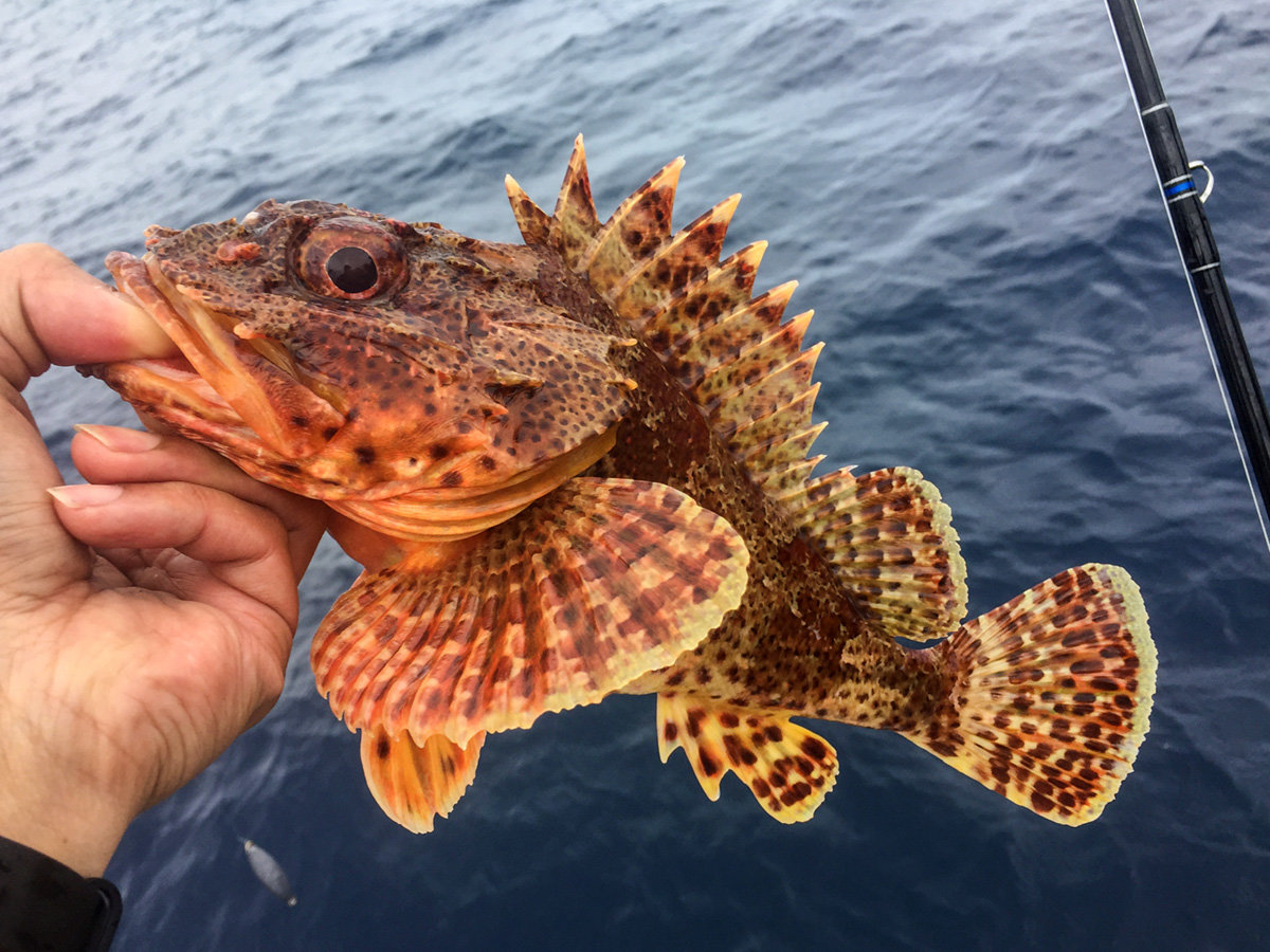 fishing_IMG_0709.jpg
