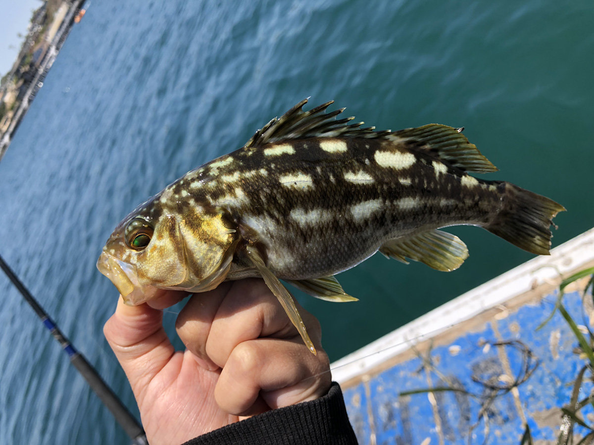 fishing_IMG_2708.jpg