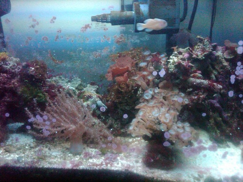 fishtank.jpg