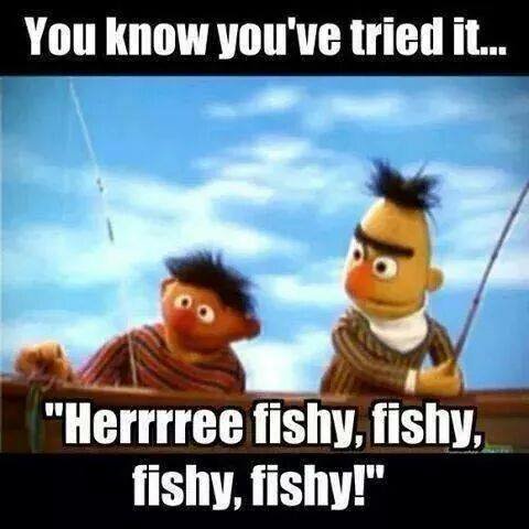 Fisshy, fishy.jpg