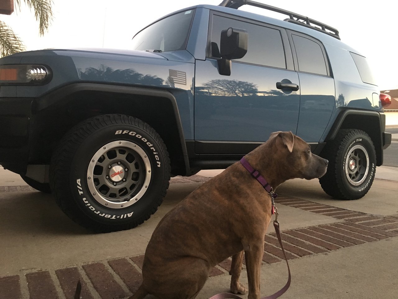 FJ Cruiser american flag magnet.jpg