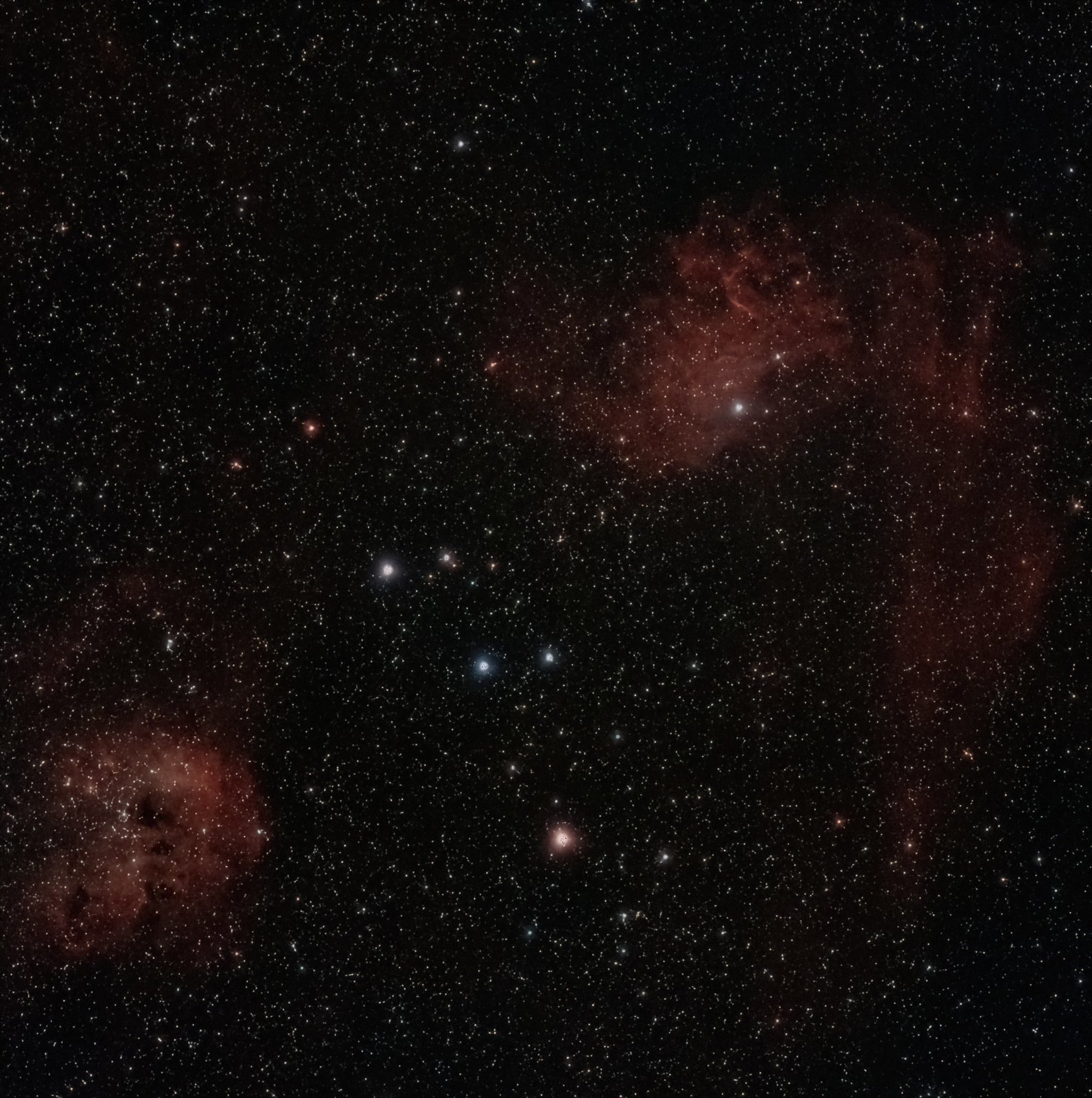 Flaming Star and Tadpoles Nebulae Affinity-DeNoiseAI.jpg