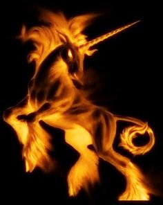 flaming unicorn.jpg