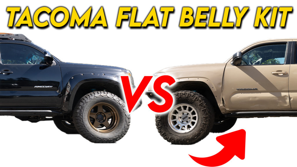 Flat Belly Thumb v3.jpg
