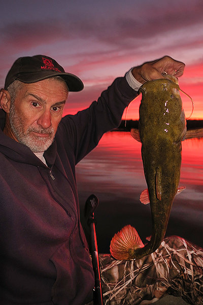 FlatheadCatfish.jpg