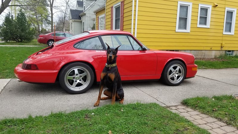 fletcher_964.jpg