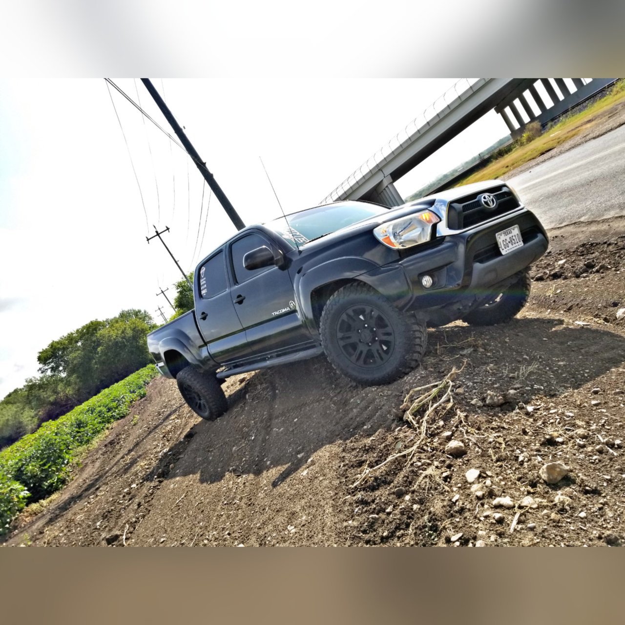 FLEX.jpg