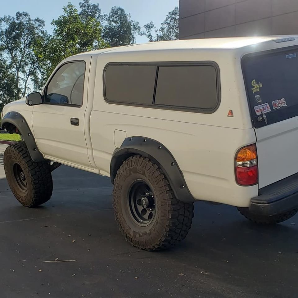 Flex Rear.jpg