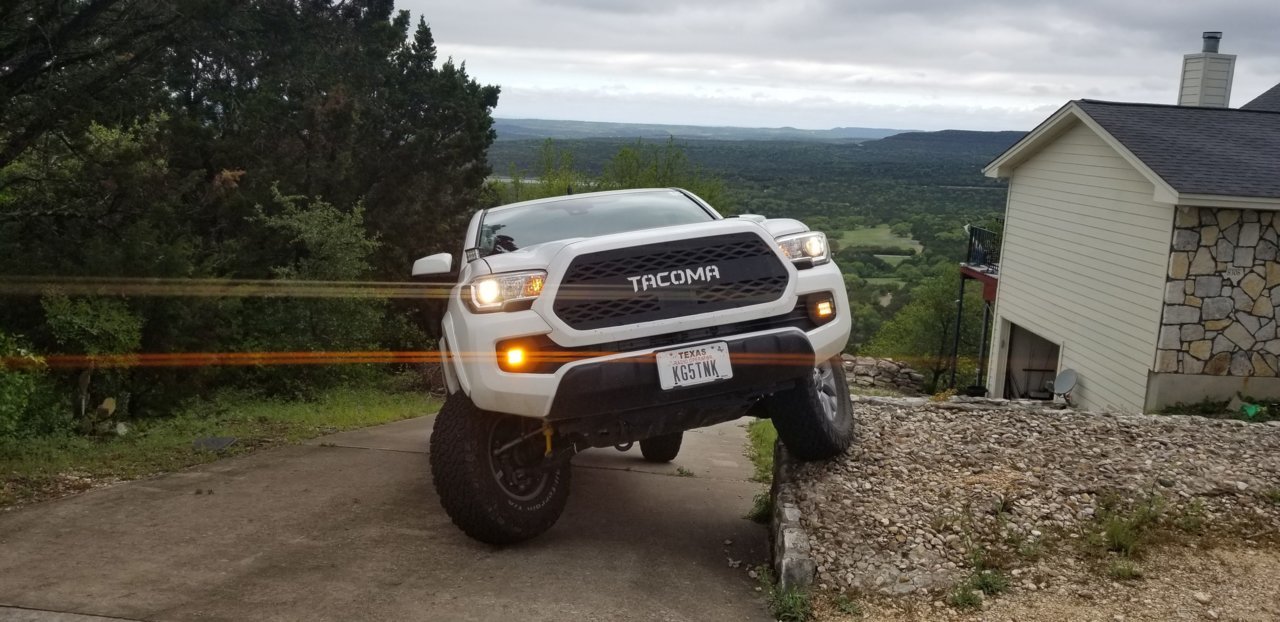 flex3.jpg