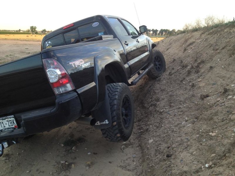 Flexing 1.jpg