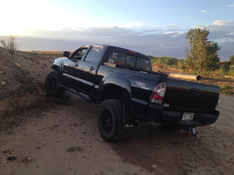 Flexing 3.jpg