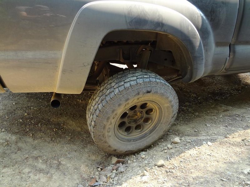 flexing 3.jpg