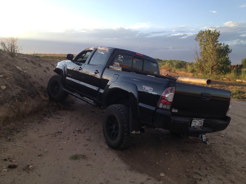 Flexing 3.jpg