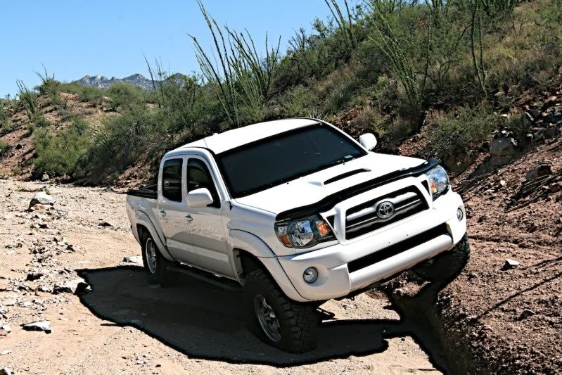 Flexing1_c30f751374cd278c37b56724d5f7895f44e25065.jpg