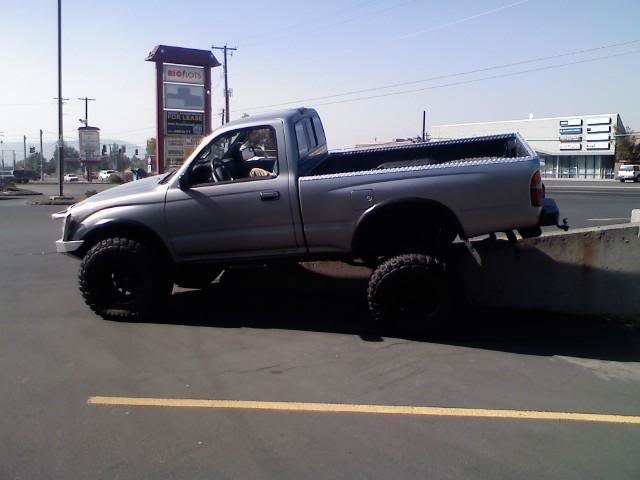 flexing1_e0dc17a347ae7a86ec2f7eeb095bfe0cd28981af.jpg