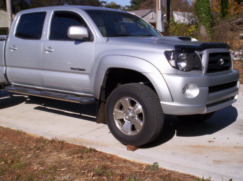 flex'n 001.jpg