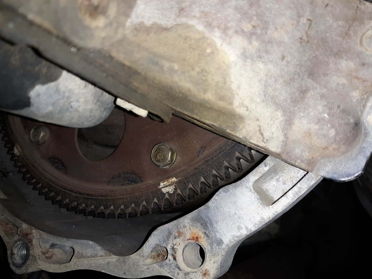 flexplate1.jpg