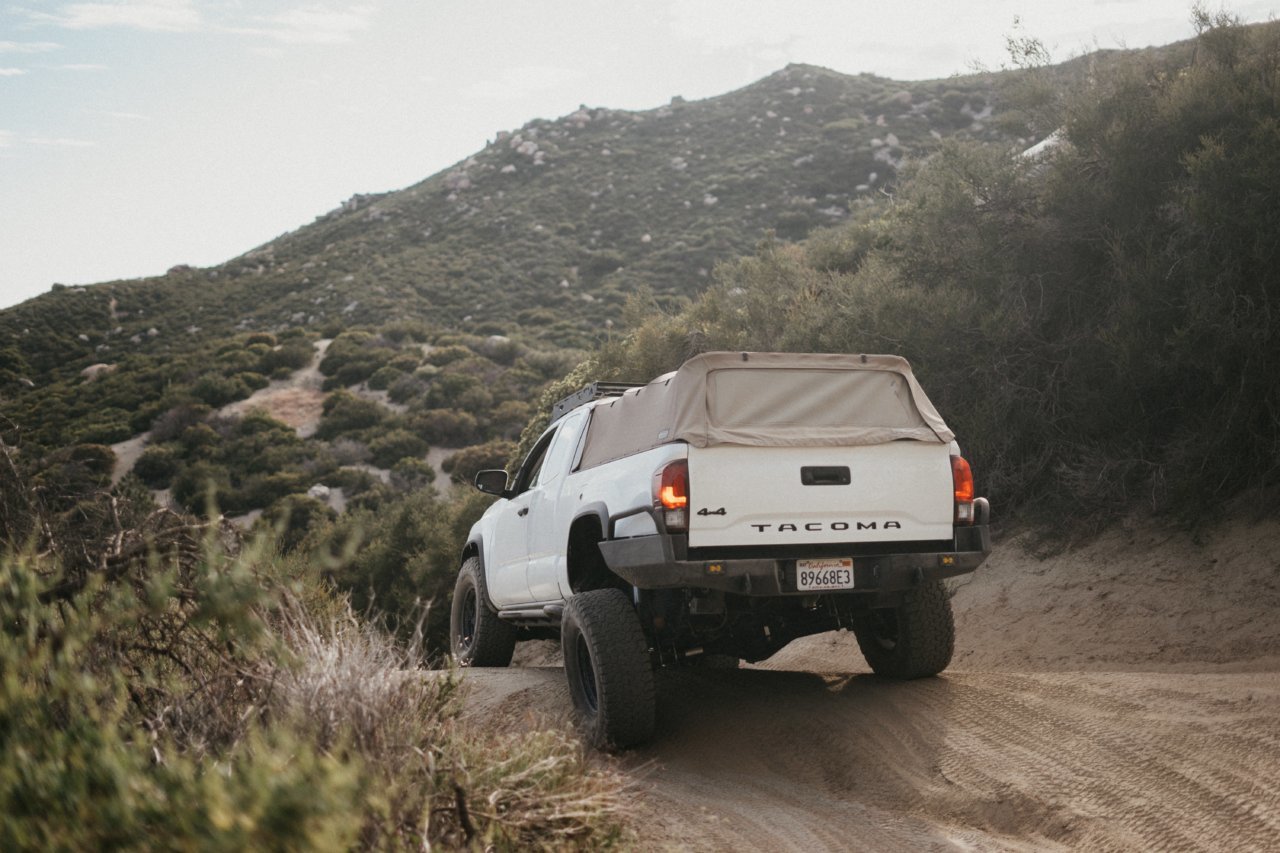 Flexy.jpg