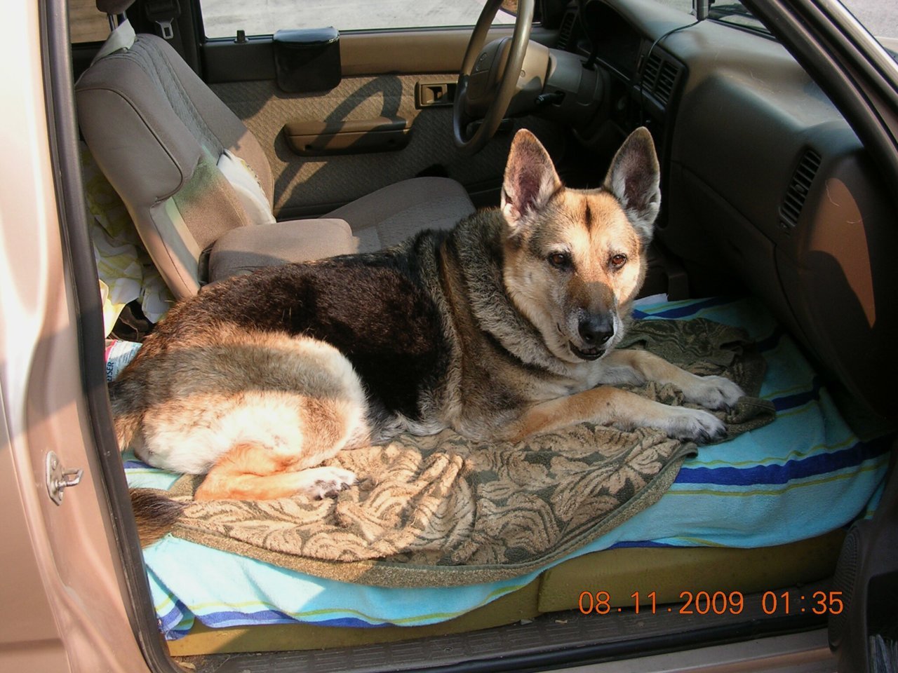 flicka080909a.jpg