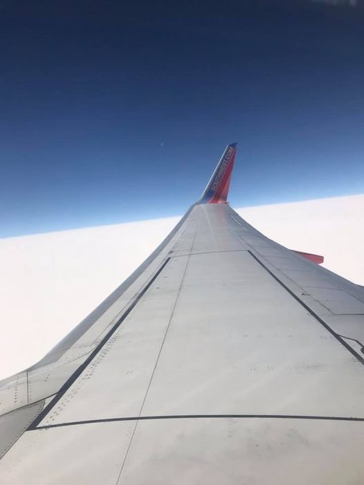 flight.jpg