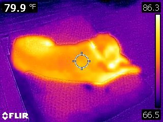 FLIR0011.jpg