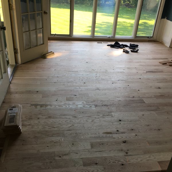 Floor 1.jpg