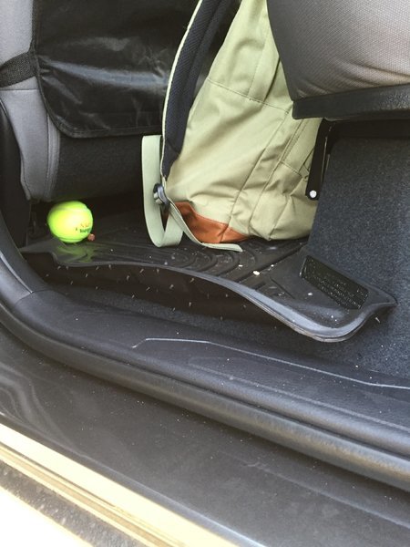 floorliner.jpg