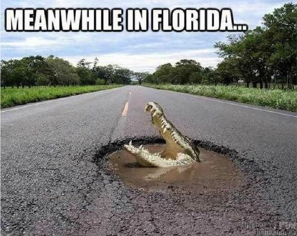 florida.jpg