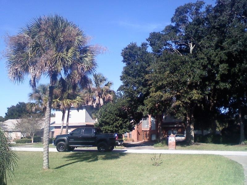 florida.jpg