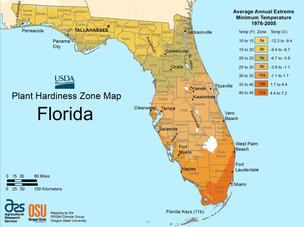 florida_plant_hardiness_zone_map.png