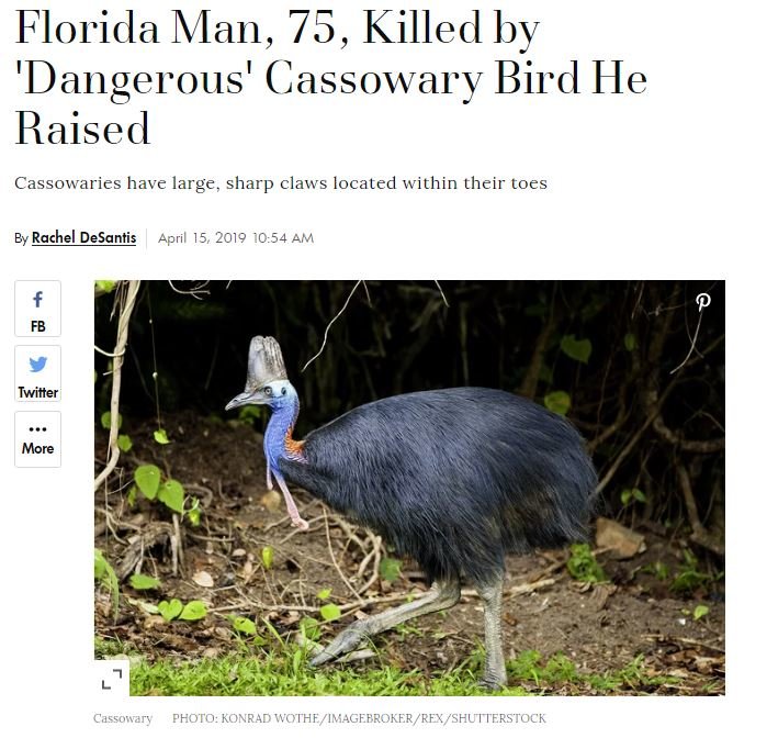 FLORIDAMAN.jpg