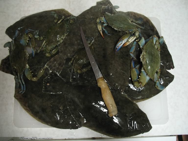flounder_f1d0388c6ecfb3b0e07591cde344f6b8006c8ff7.jpg