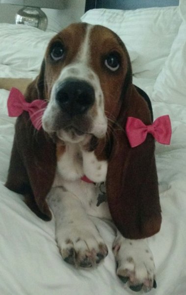 Flower.jpg