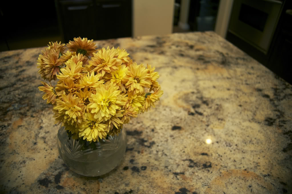 flowers_24fe1ca1129139b1af59dfd071df00d2c10aca51.jpg