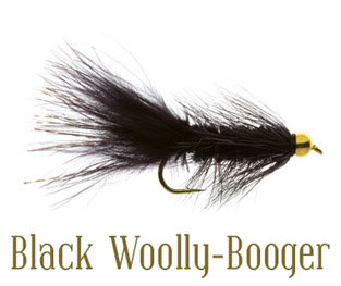 fly-fishing-fly-black-woolly-booger.jpg