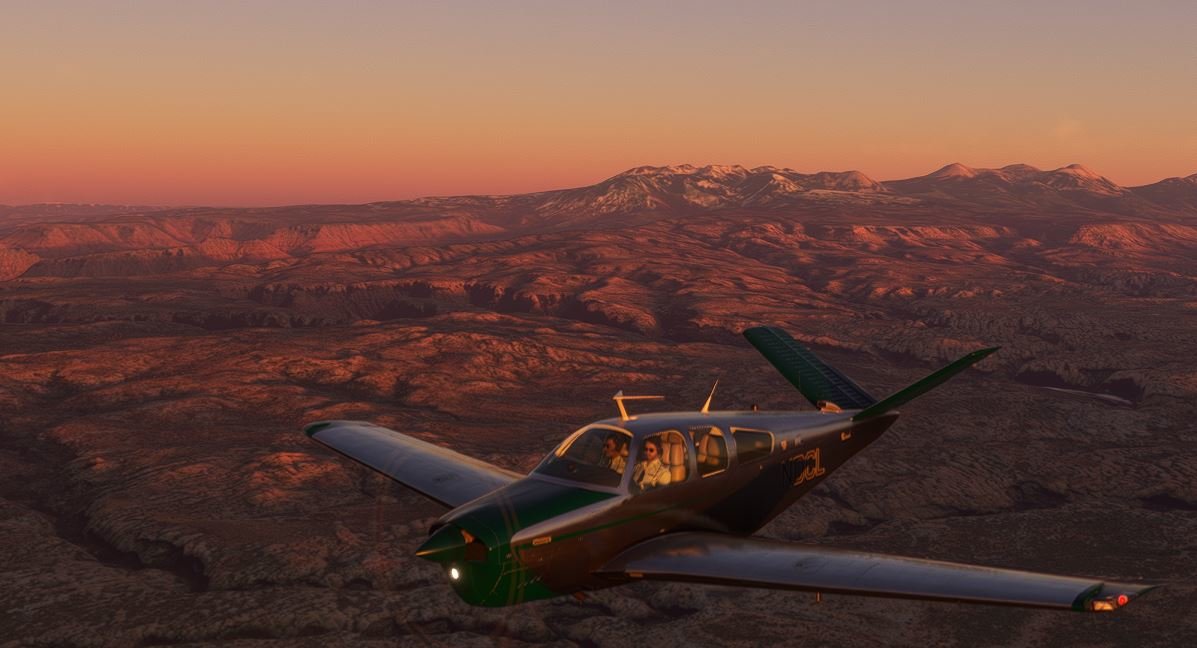 fly11.jpg