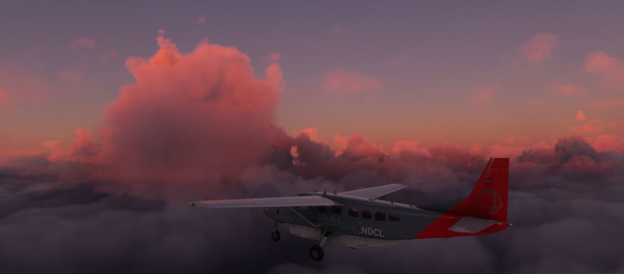 fly2.jpg