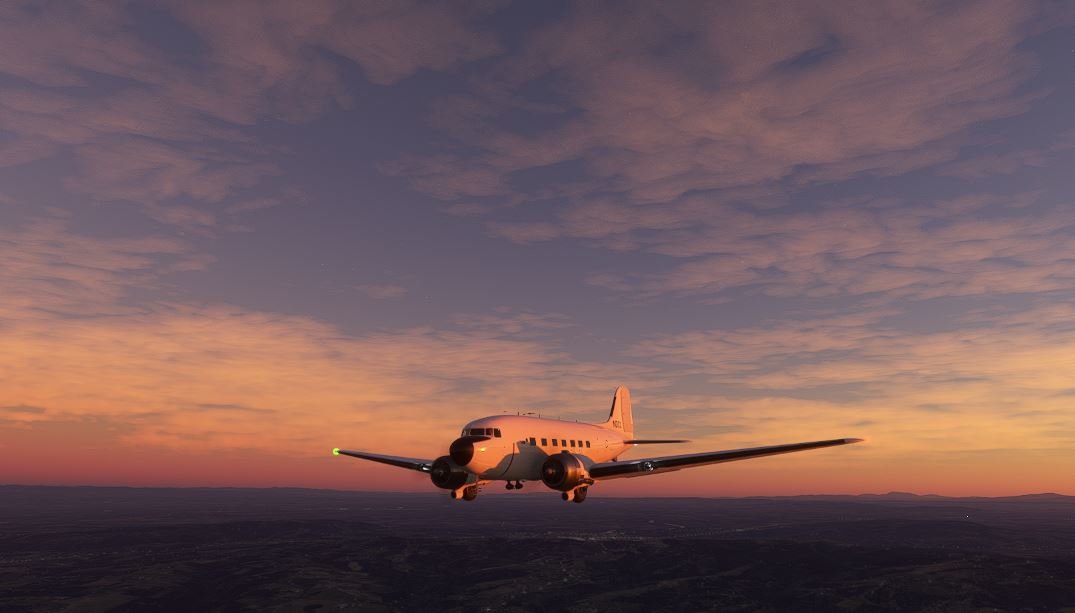 fly3.jpg